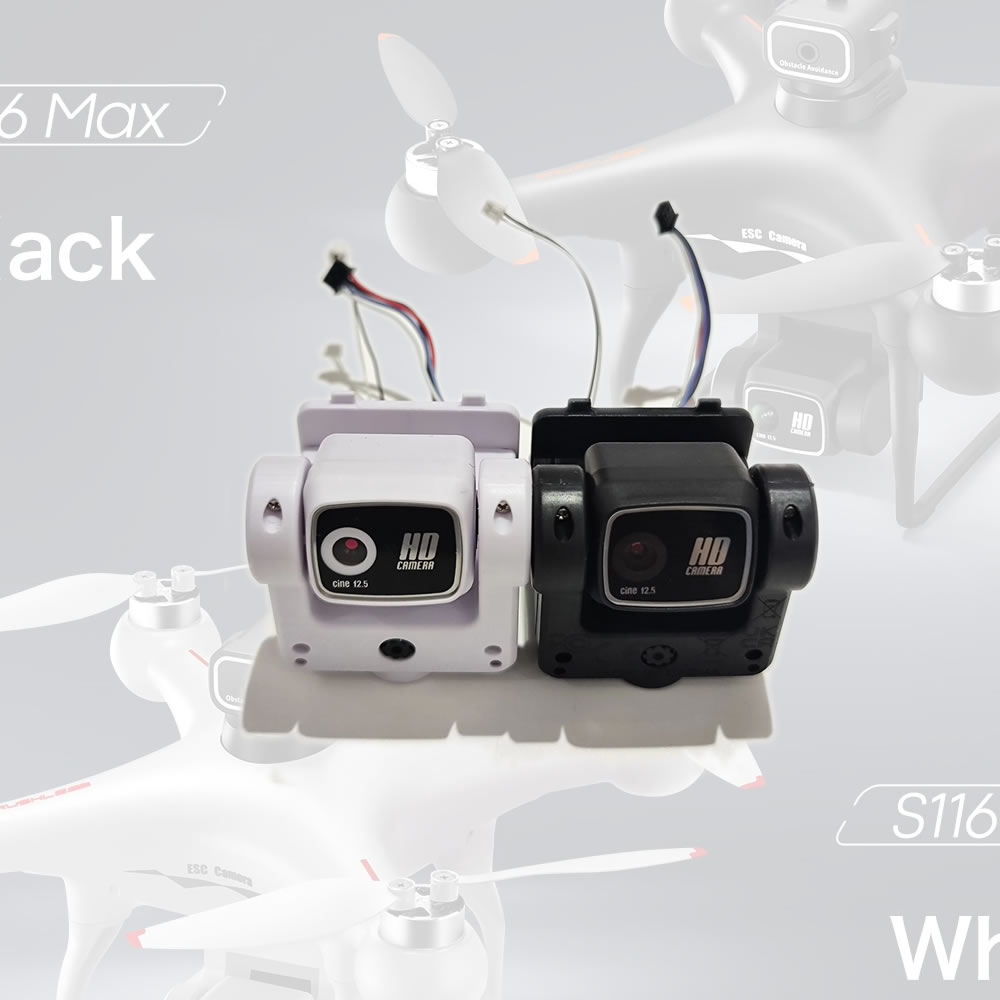 Drone Rc S116 - S116 PRO MAX Borstelloze motor RC